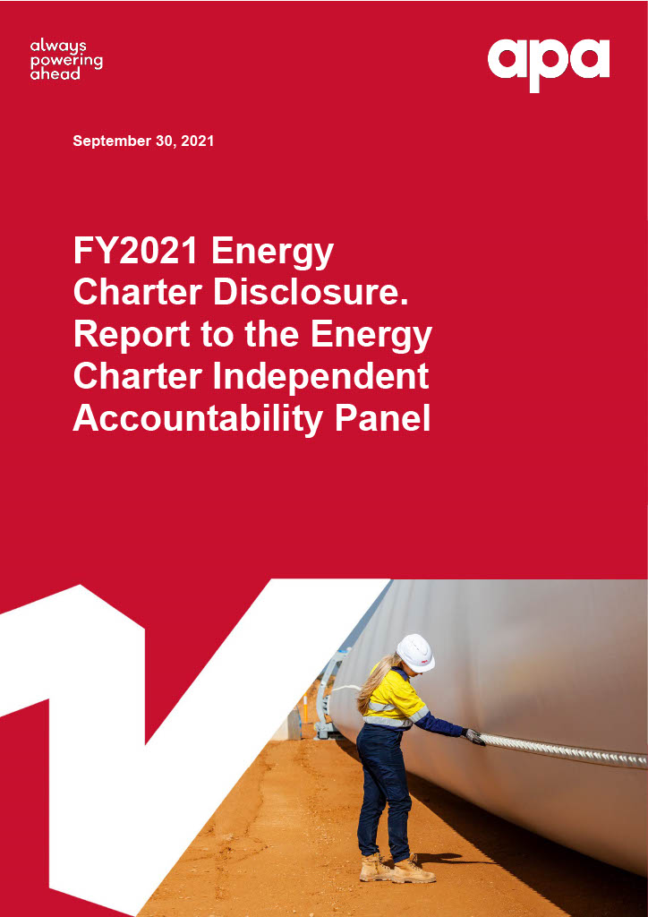 ActewAGL Disclosure Report 2021