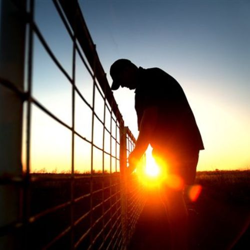 Wimmera Southern Mallee Collaboration Program