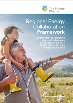 Regional Energy Collaboration Framework